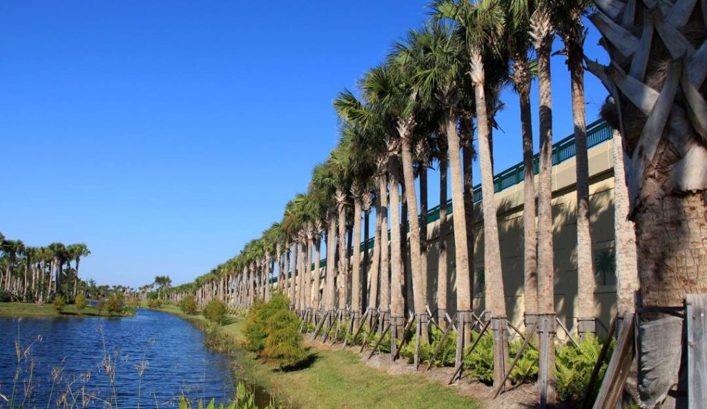 Design Build Process Palm City | Masterpiece Builders