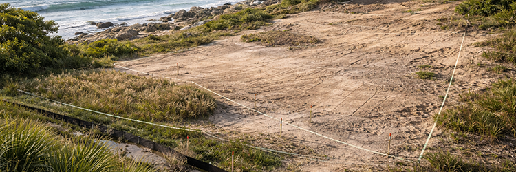 A staked and surveyed coastal lot in Martin County, highlighting how site conditions and location influence custom home design costs